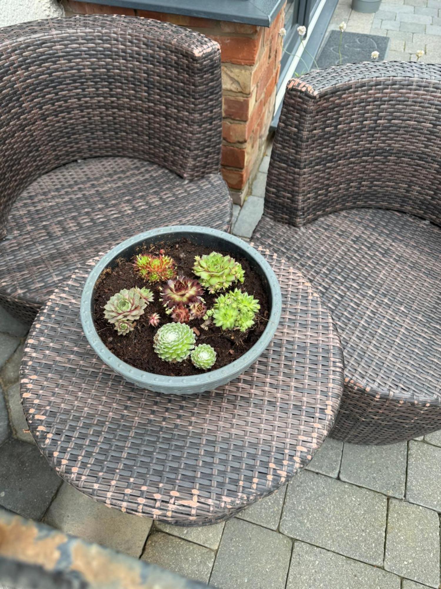 Beach House Apartment On Ground Floor With Sea View - Pet Friendly Cleveleys Exterior foto